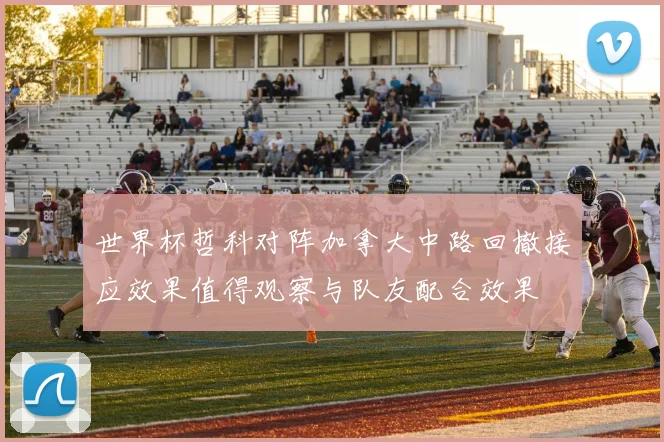 世界杯哲科对阵加拿大中路回撤接应效果值得观察与队友配合效果