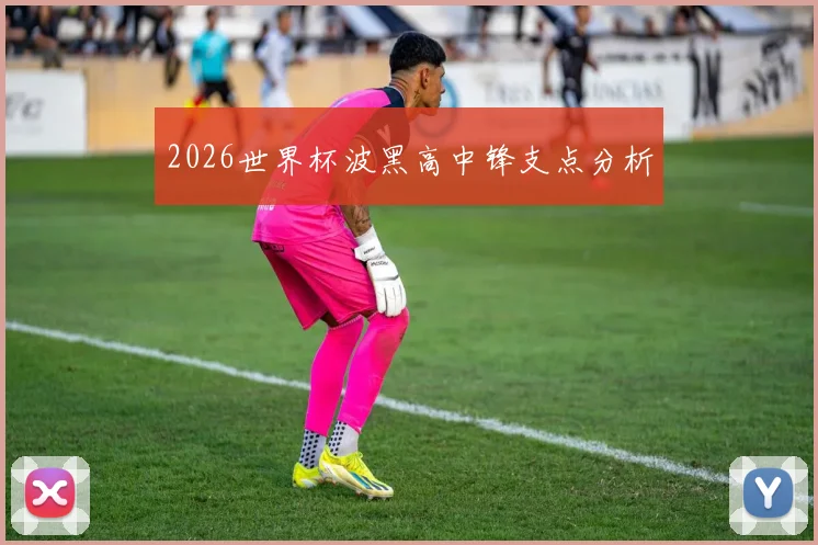 2026世界杯波黑高中锋支点分析