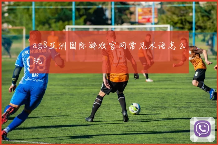 ag8亚洲国际游戏官网常见术语怎么玩